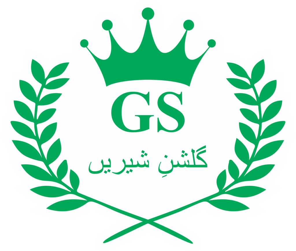 GS logo