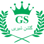 GS logo
